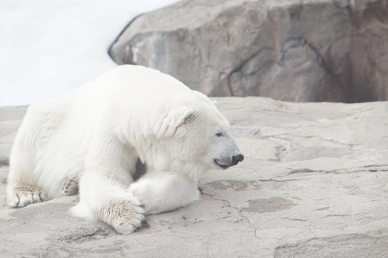 Svalbard, Norway